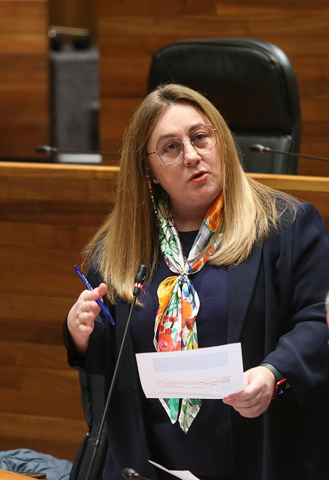 Alta participación en la huelga docente en Asturias mientras crece el malestar contra la consejera de educación Lydia Espina Alta participación en la huelga docente en Asturias mientras crece el malestar contra la consejera de educación Lydia Espina