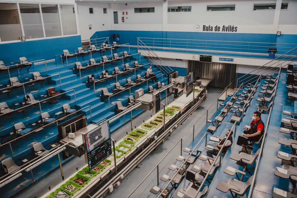 Finalizan las visitas guiadas a la Rula de Avilés con gran afluencia de público Finalizan las visitas guiadas a la Rula de Avilés con gran afluencia de público